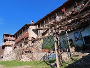 Festa di fiori sui sentieri per il Monte Ubione-19mar24